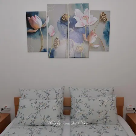 No 11 Apartment *